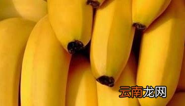 孕妇可以吃香蕉吗? 孕妇可以吃香蕉吗?孕早期