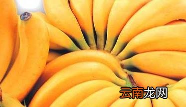 香蕉和芭蕉的区别有哪些？ 芭蕉跟香蕉什么区别