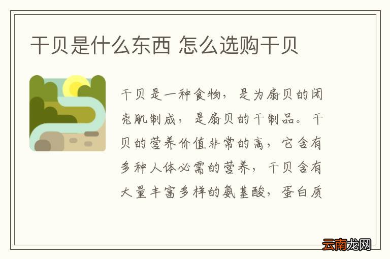 干贝是什么东西 怎么选购干贝