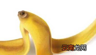 香蕉皮的功效和作用 香蕉皮功效与作用营养价值