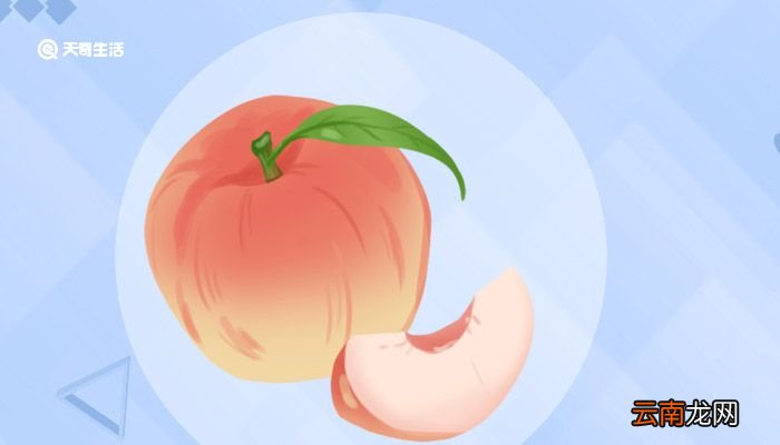 油桃怎么保存 桃子怎么保存