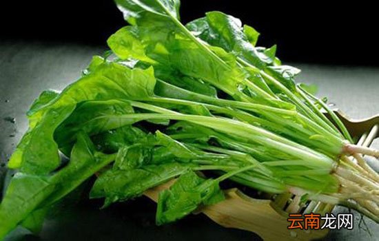 孕妇缺铁吃什么 三类吃法帮你快速补铁