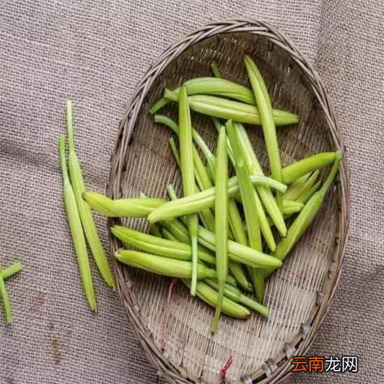 产后下奶的食谱大全 这些食物对下奶有帮助