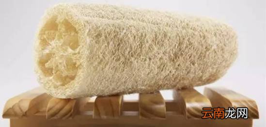 产后下奶的食谱大全 这些食物对下奶有帮助