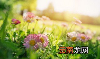 成语春什么盎然 成语春什么盎然的意思
