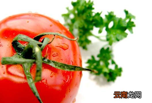 宝宝番茄食谱做法大全集 宝宝多吃番茄营养棒