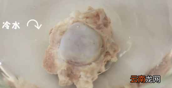 鲜肉馄饨的做法 补铁又美味辅食做法介绍