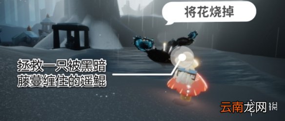 光遇11.12任务攻略 光遇11月12日每日任务怎么做
