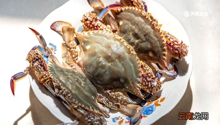 海螃蟹蒸多长时间 螃蟹不洗直接蒸可以吗