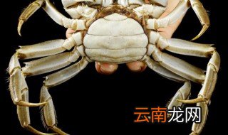 螃蟹的养殖技术及方法 螃蟹如何养殖呢