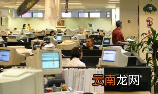 发财树怎么摆放才招财办公室 招财树放办公室哪里