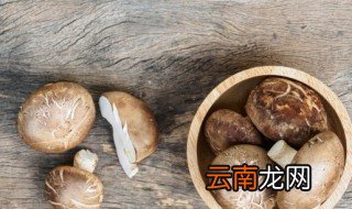 香菇有点苦能吃吗 香菇有点苦能不能吃