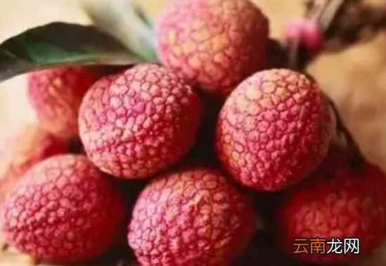 桂味荔枝和妃子笑哪个好吃? 桂味荔枝和妃子笑有什么区别