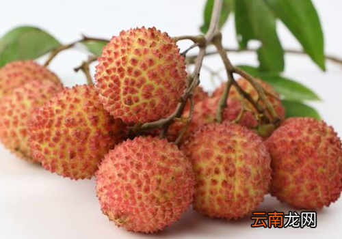 桂味荔枝和妃子笑哪个好吃? 桂味荔枝和妃子笑有什么区别