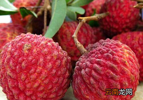 荔枝能和海鲜能一起吃吗 荔枝和桃子能不能一起吃