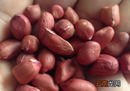 生花生米怎么保存? 生花生米可以放冰箱冷冻吗