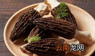 怎样炒羊肚菌好吃 如何做炒羊肚菌