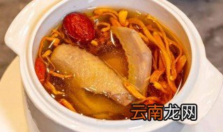 虫草炖鸽子 虫草炖鸽子做法介绍