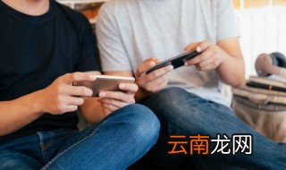 原神菲谢尔培养攻略 原神菲谢尔怎么培养