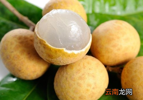 龙眼和桃子可以一起吃吗? 龙眼和鸡蛋能一起吃吗