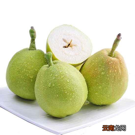 香梨吃多了会上火吗? 香梨营养价值有哪些