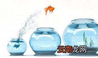 卧室里放8个鱼缸可以吗 卧室可以放两个鱼缸吗