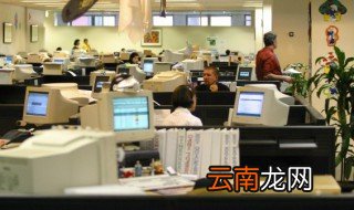 办公室摆什么花风水好招财 办公室哪里摆放花好招财