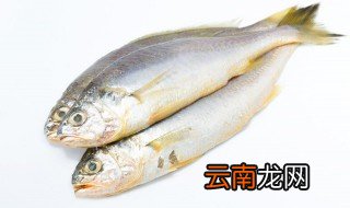 清蒸鱼的做法家常菜 清蒸鱼怎么做