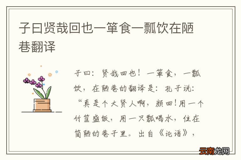 子曰贤哉回也一箪食一瓢饮在陋巷翻译