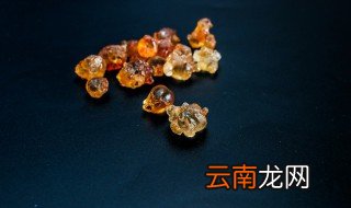 李子树上的胶怎么吃 李子树上的胶如何吃