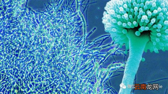 室内空气净化须知