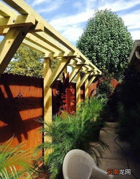 理想小院：院墙不砌砖，整个改成廊架式，种瓜纳凉一个不耽误！