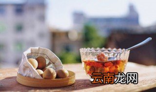 桂圆酒的做法大全 有关桂圆酒的做法大全