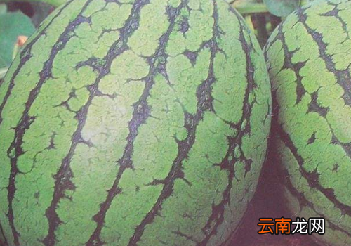 西瓜是酸性还是碱性? 西瓜是减肥还是增肥