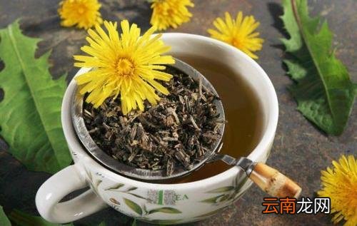 蒲公英茶里面能放红糖吗? 蒲公英茶可以放蜂蜜吗