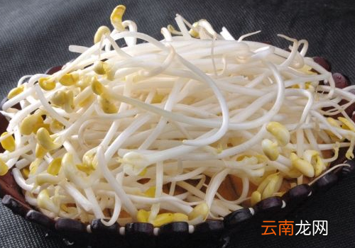 黄豆芽坐月子可以吃吗 ?黄豆芽会回奶吗
