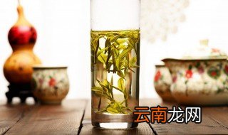 自制青梅绿茶的材料和做法步骤 青梅绿茶怎么做