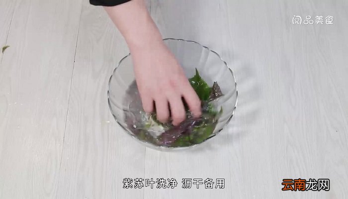 炸紫苏叶怎么做 炸紫苏叶的做法