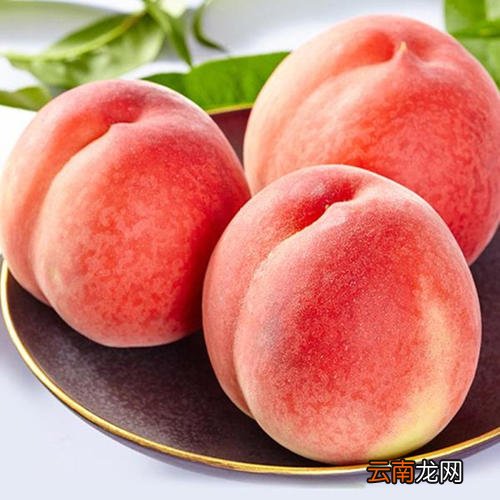 苹果和桃子能一起榨汁吗 ?桃子和苹果哪个热量高