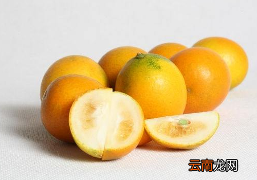 吃了金桔能喝牛奶吗 ?金桔和牛奶一起吃会怎样