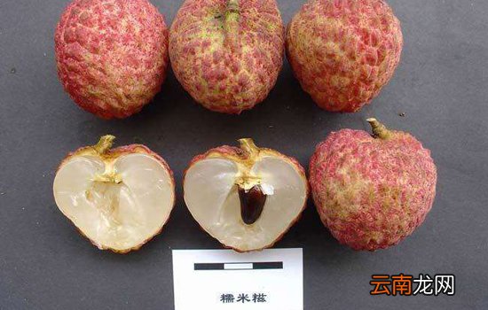 荔枝什么品种最好吃