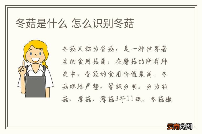 冬菇是什么 怎么识别冬菇