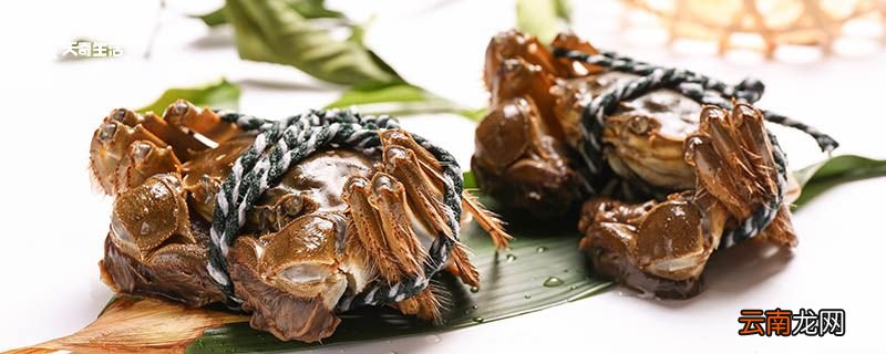 螃蟹吃什么食物 螃蟹吃哪些食物