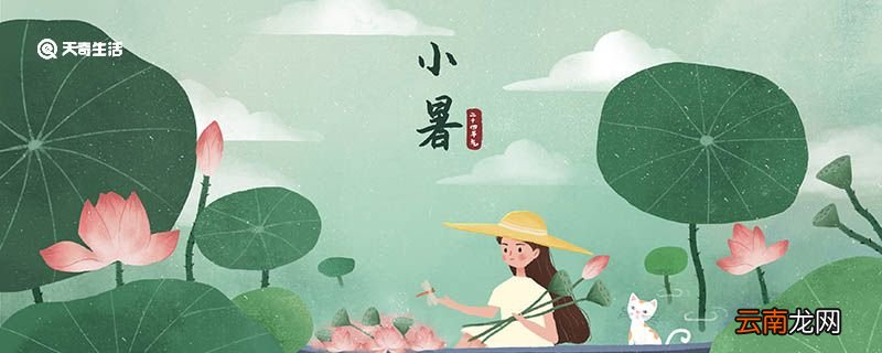 小暑农事活动有哪些 小暑是什么