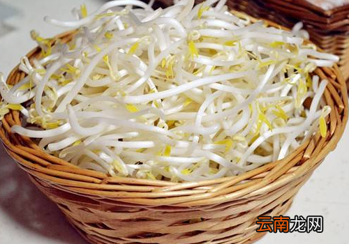 豆芽的根须能吃吗? 豆芽的根须怎么去除