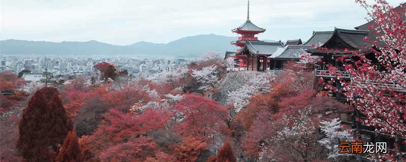 日本国土面积相当于中国哪个省 日本位于哪个大洲