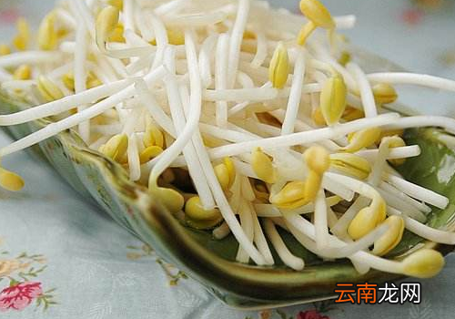 黄豆芽不熟能吃吗 ?黄豆芽产妇能吃吗