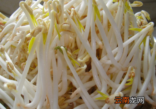 绿豆芽的禁忌? 绿豆芽长绿叶了还能吃吗