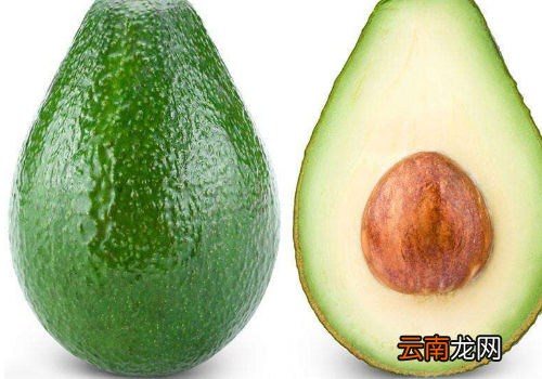 牛油果可以和哈密瓜一起吃吗 ?牛油果和茶能一起吃吗