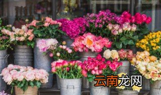 秋天换盆方法和注意事项 秋季换盆的注意事项